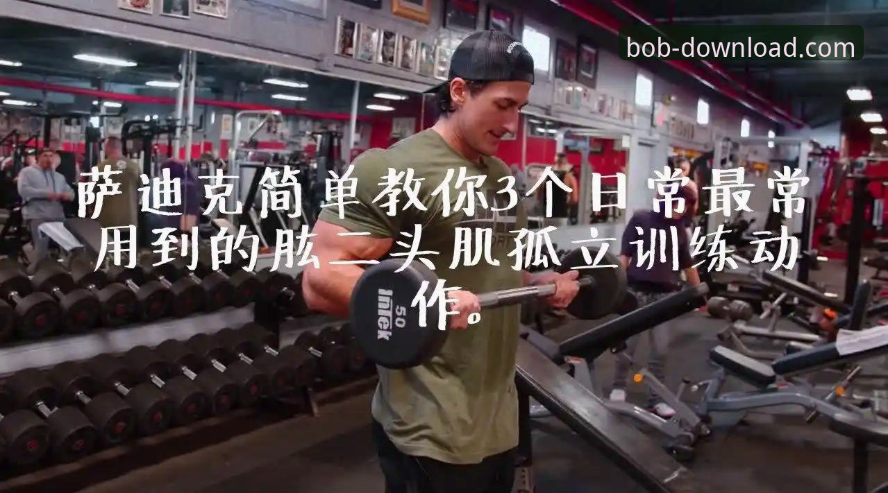 半岛·bob官方网站正版下载 半岛BOB体育:半岛·bob官方网站正版下载与使用完整指南