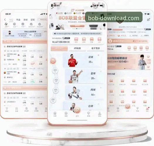 半岛BOB体育官方网站入口链接使用技巧详解