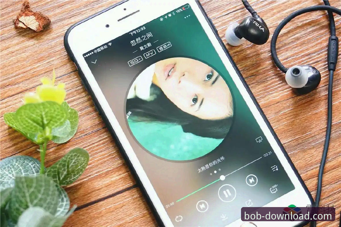 半岛BOB体育数字体验全面解析：从网页到App的深度对比